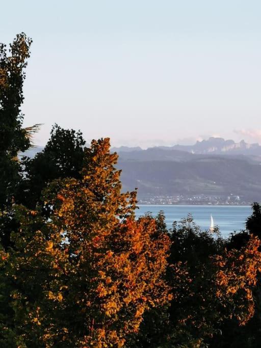 Wohnen Direkt Am Uferpark Mit Grossem Balkon Und Seeblick ฟรีดริชส์ฮาเฟน ภายนอก รูปภาพ