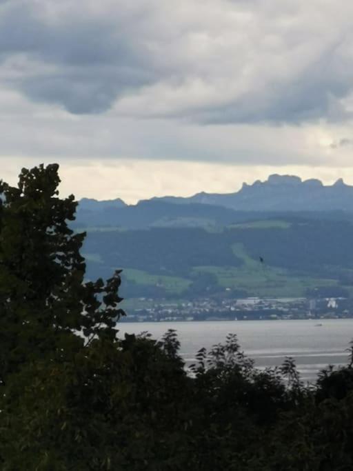 Wohnen Direkt Am Uferpark Mit Grossem Balkon Und Seeblick ฟรีดริชส์ฮาเฟน ภายนอก รูปภาพ